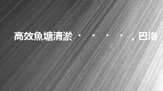 高效魚塘清淤，巴洛仕設(shè)備助力生態(tài)養(yǎng)殖